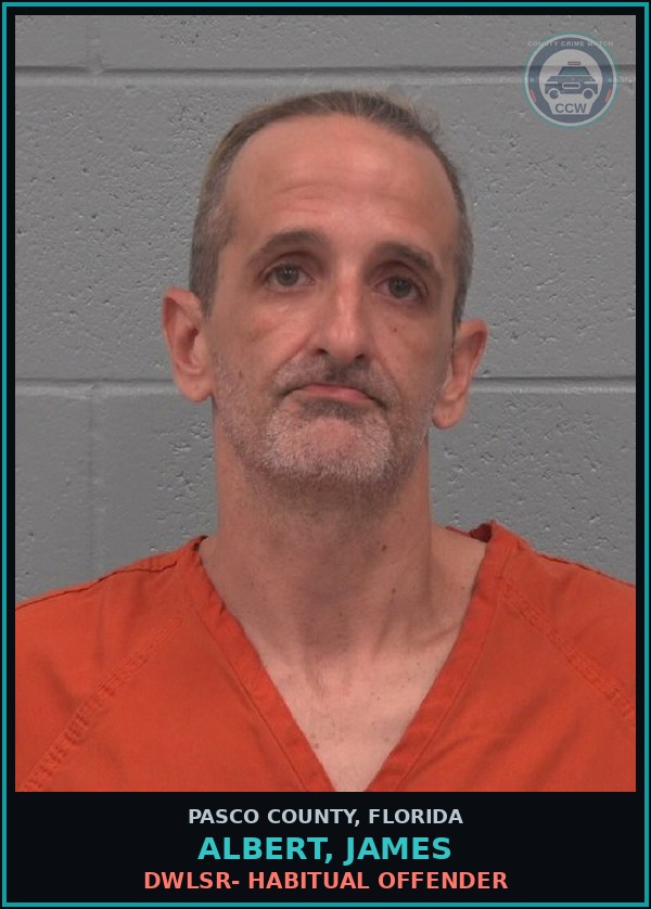 Booking mugshot of ALBERT, JAMES in Pasco County