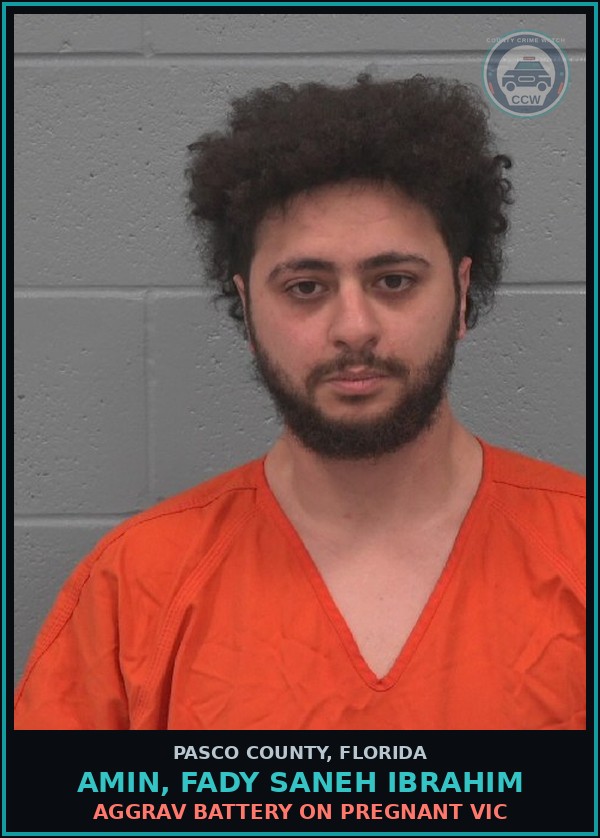 Booking mugshot of AMIN, FADY SANEH IBRAHIM in Pasco County