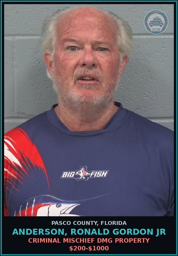 Booking mugshot of ANDERSON, RONALD GORDON JR in Pasco County