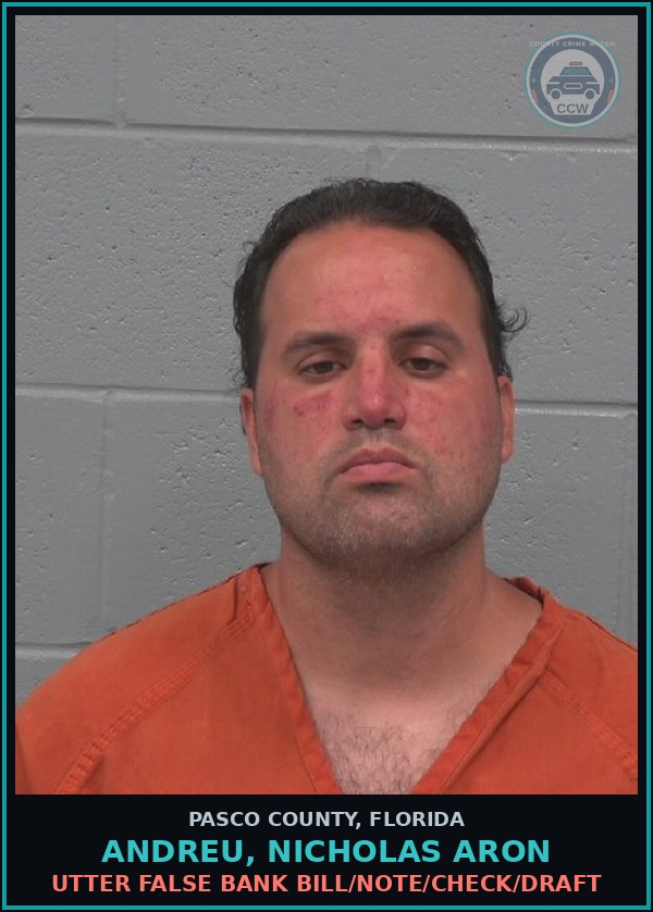 Booking mugshot of ANDREU, NICHOLAS ARON in Pasco County