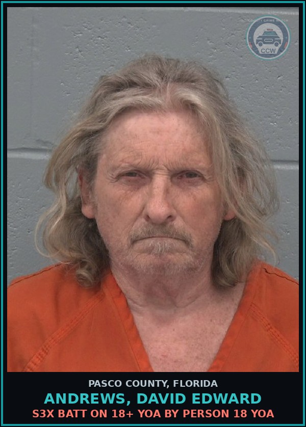 Booking mugshot of ANDREWS, DAVID EDWARD in Pasco County
