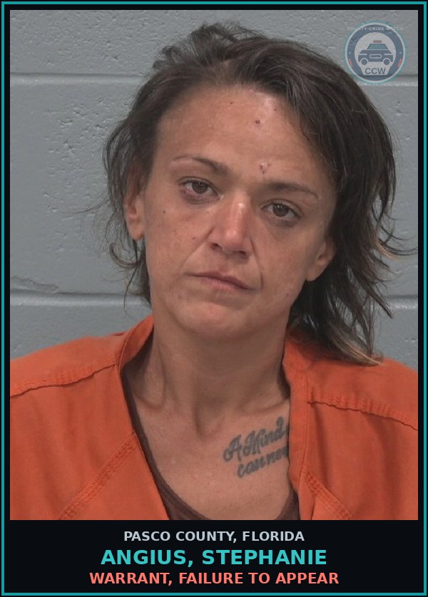 Booking mugshot of ANGIUS, STEPHANIE in Pasco County