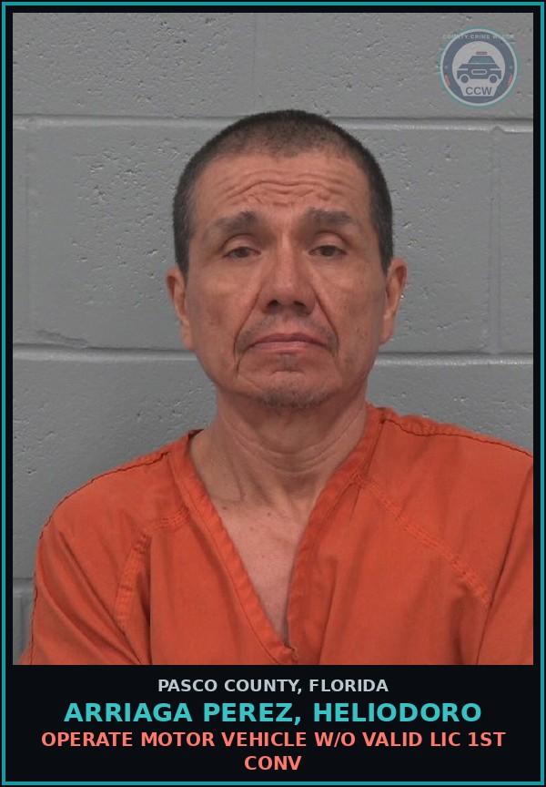 Booking mugshot of ARRIAGA PEREZ, HELIODORO in Pasco County
