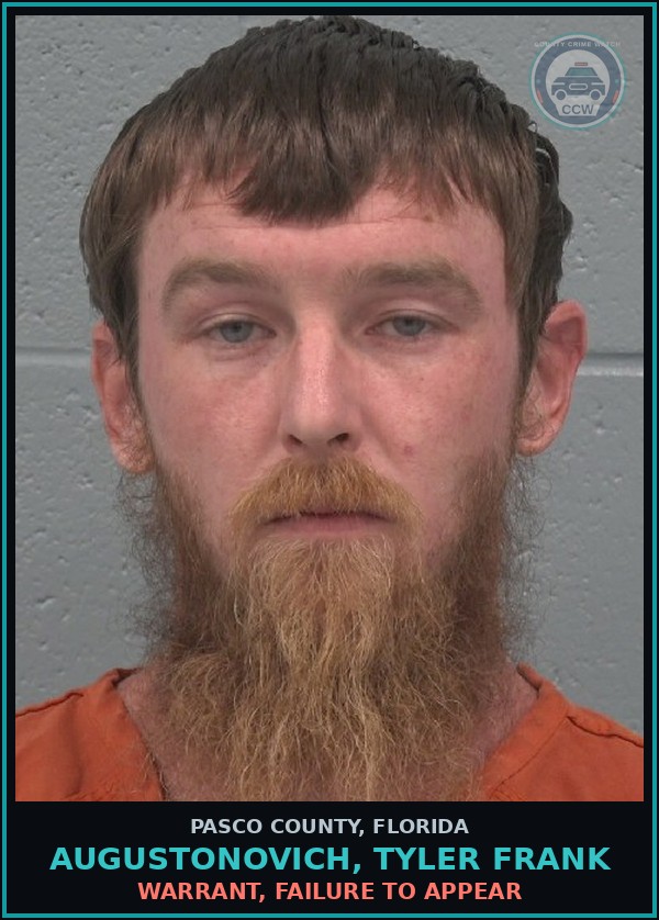 Booking mugshot of AUGUSTONOVICH, TYLER FRANK in Pasco County