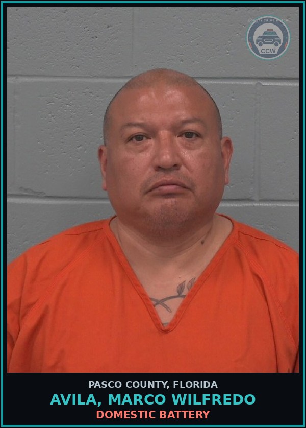 Booking mugshot of AVILA, MARCO WILFREDO in Pasco County