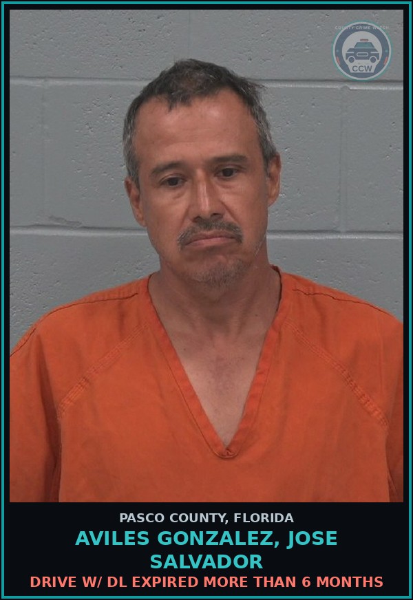 Booking mugshot of AVILES GONZALEZ, JOSE SALVADOR in Pasco County