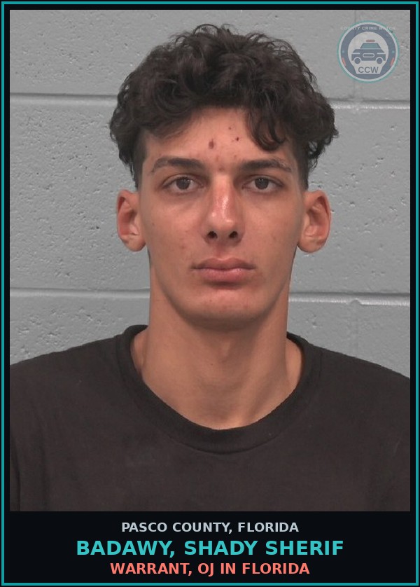 Booking mugshot of BADAWY, SHADY SHERIF in Pasco County