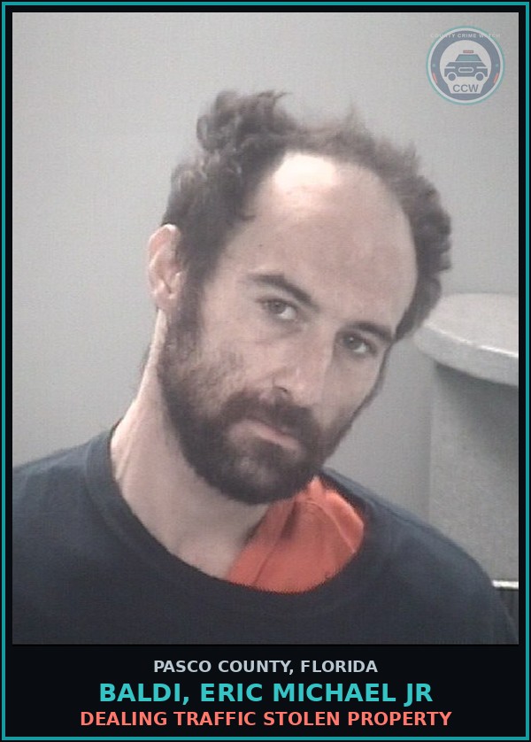 Booking mugshot of BALDI, ERIC MICHAEL JR in Pasco County