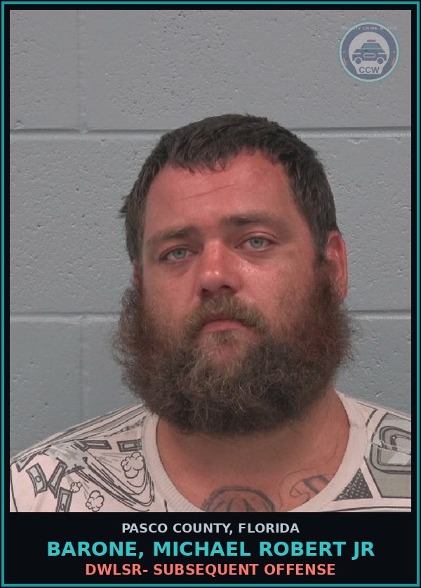 Booking mugshot of BARONE, MICHAEL ROBERT JR in Pasco County