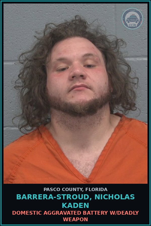 Booking mugshot of BARRERA-STROUD, NICHOLAS KADEN in Pasco County