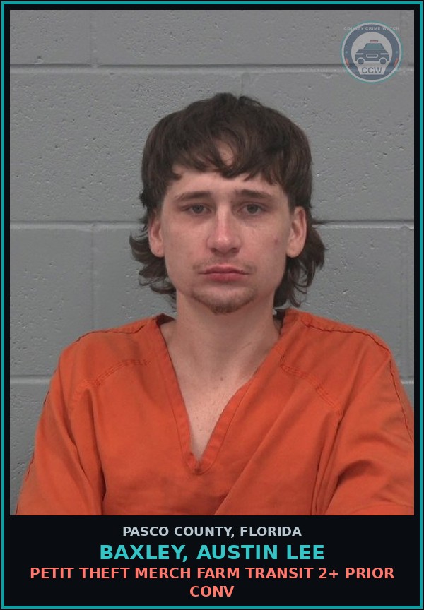 Booking mugshot of BAXLEY, AUSTIN LEE in Pasco County