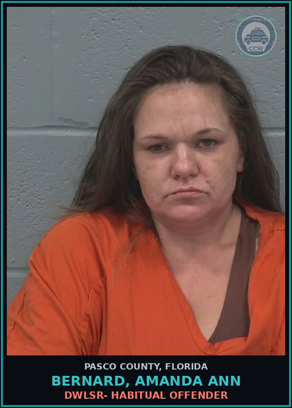 Booking mugshot of BERNARD, AMANDA ANN in Pasco County