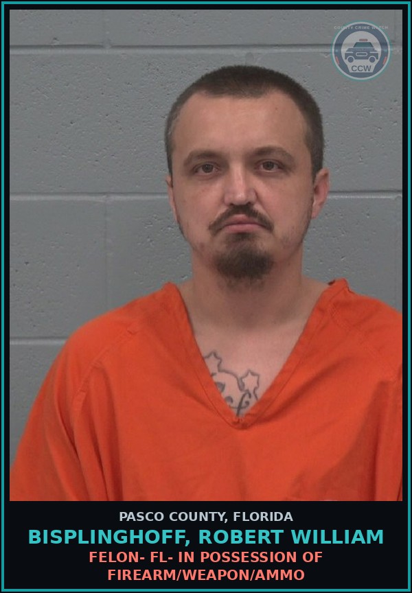 Booking mugshot of BISPLINGHOFF, ROBERT WILLIAM in Pasco County