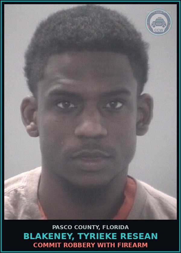 Booking mugshot of BLAKENEY, TYRIEKE RESEAN in Pasco County