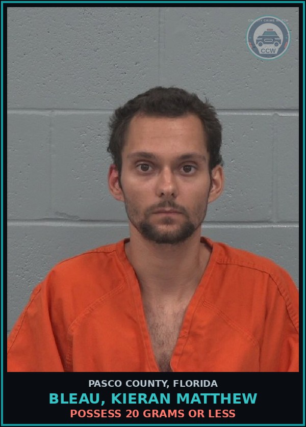 Booking mugshot of BLEAU, KIERAN MATTHEW in Pasco County