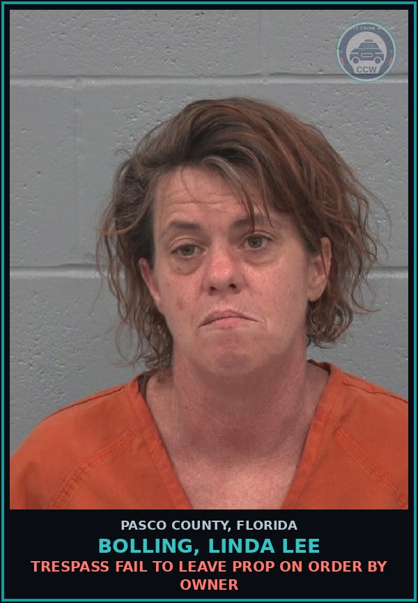 Booking mugshot of BOLLING, LINDA LEE in Pasco County