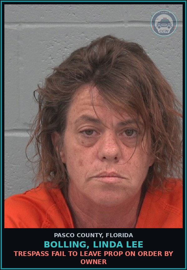 Booking mugshot of BOLLING, LINDA LEE in Pasco County