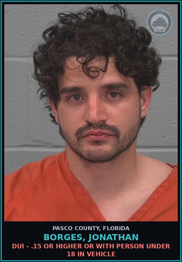Booking mugshot of BORGES, JONATHAN in Pasco County