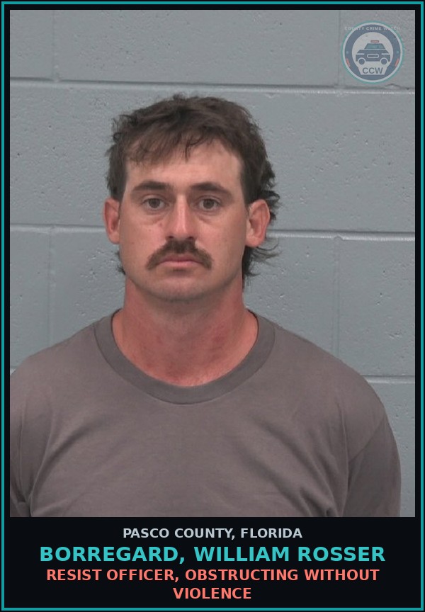 Booking mugshot of BORREGARD, WILLIAM ROSSER in Pasco County