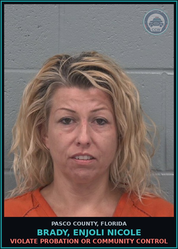 Booking mugshot of BRADY, ENJOLI NICOLE in Pasco County