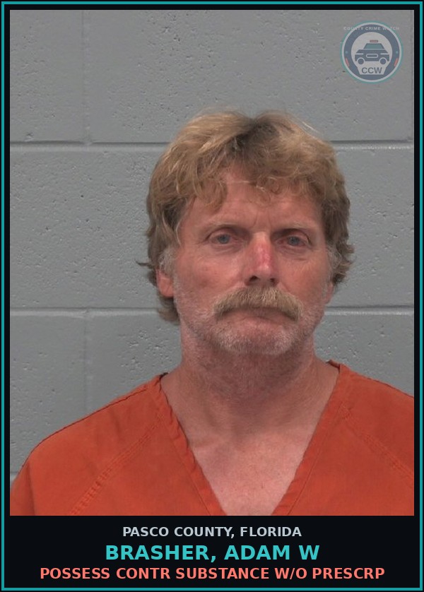 Booking mugshot of BRASHER, ADAM W in Pasco County