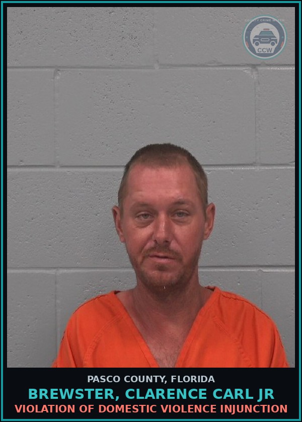 Booking mugshot of BREWSTER, CLARENCE CARL JR in Pasco County