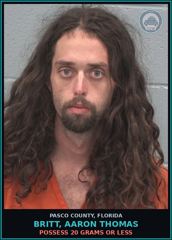 Booking mugshot of BRITT, AARON THOMAS in Pasco County