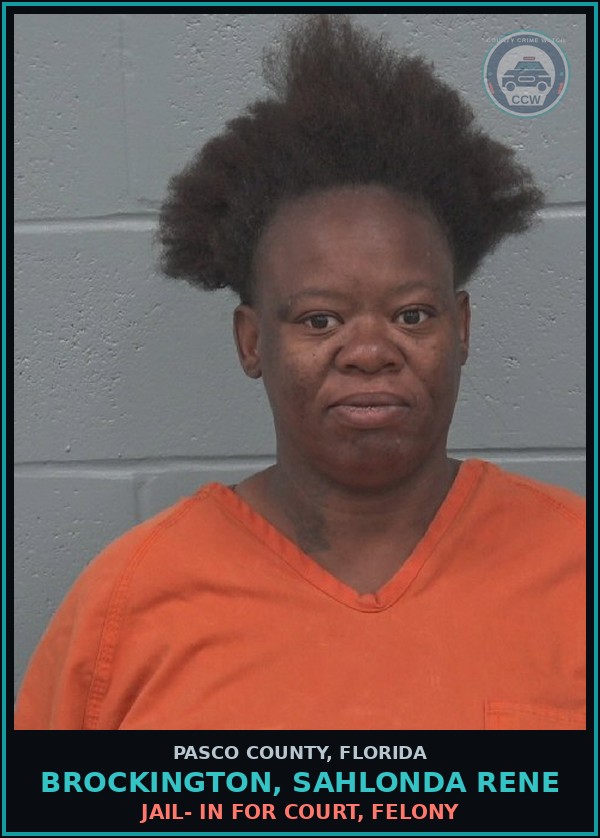Booking mugshot of BROCKINGTON, SAHLONDA RENE in Pasco County