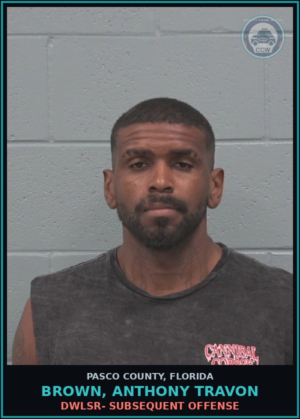Booking mugshot of BROWN, ANTHONY TRAVON in Pasco County
