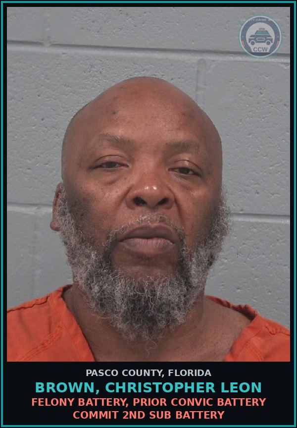 Booking mugshot of BROWN, CHRISTOPHER LEON in Pasco County