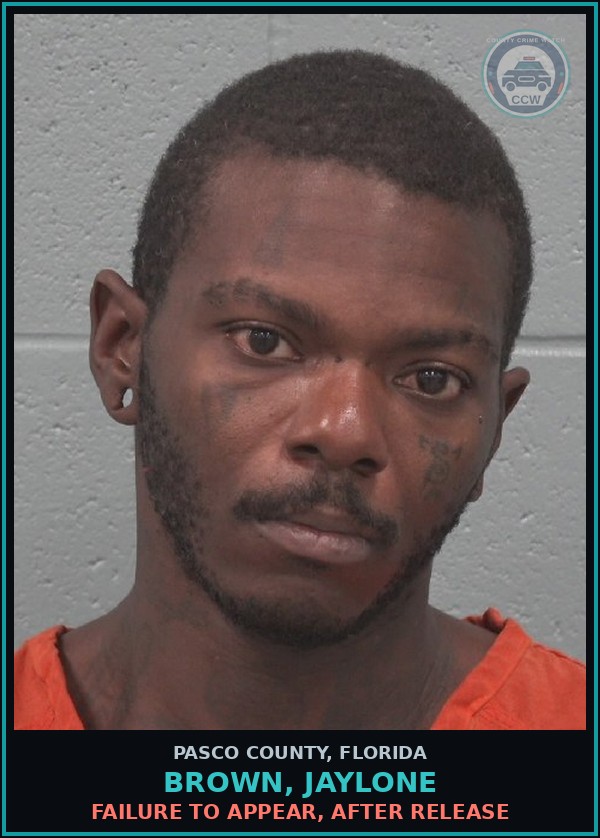 Booking mugshot of BROWN, JAYLONE in Pasco County