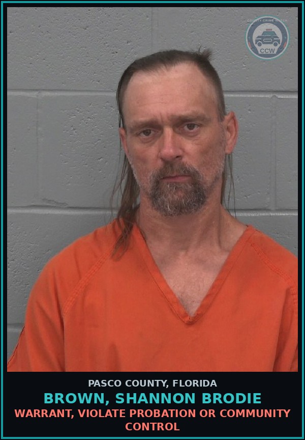 Booking mugshot of BROWN, SHANNON BRODIE in Pasco County