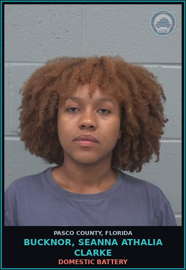 Booking mugshot of BUCKNOR, SEANNA ATHALIA CLARKE in Pasco County
