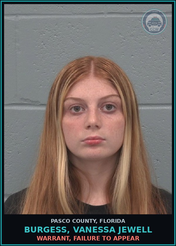 Booking mugshot of BURGESS, VANESSA JEWELL in Pasco County