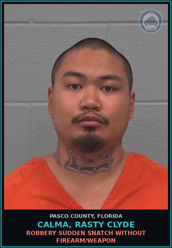 Booking mugshot of CALMA, RASTY CLYDE in Pasco County