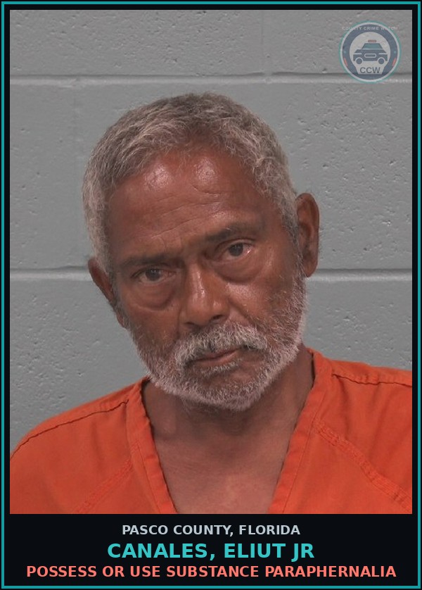 Booking mugshot of CANALES, ELIUT JR in Pasco County