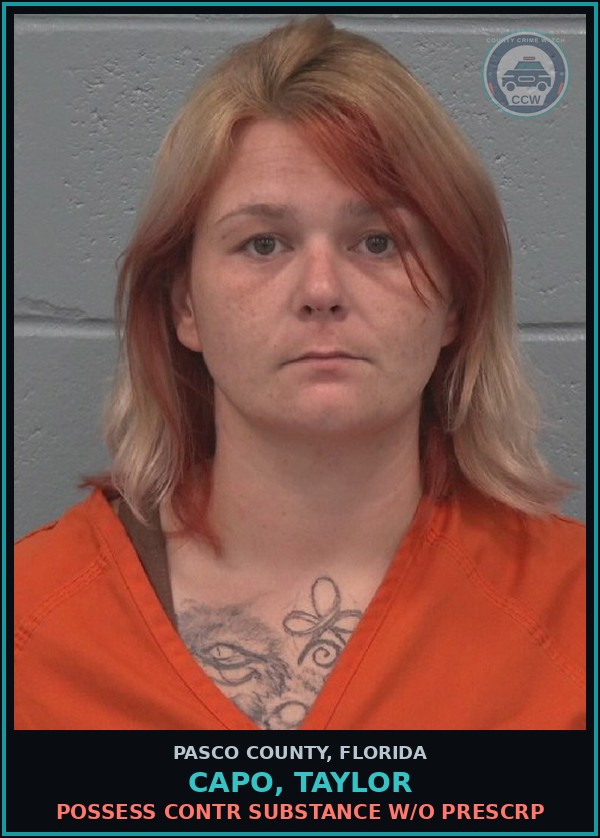 Booking mugshot of CAPO, TAYLOR in Pasco County