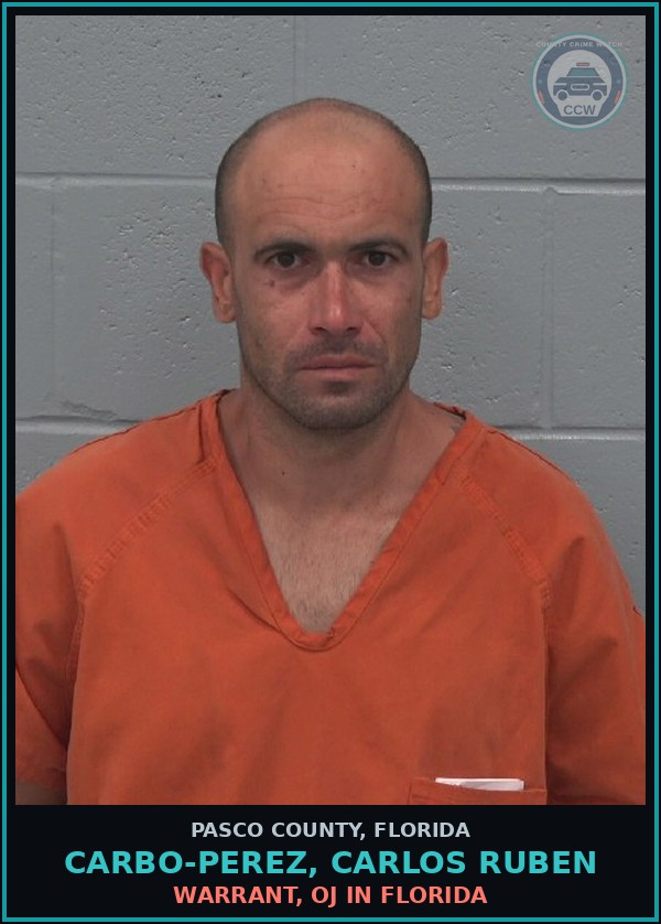 Booking mugshot of CARBO-PEREZ, CARLOS RUBEN in Pasco County