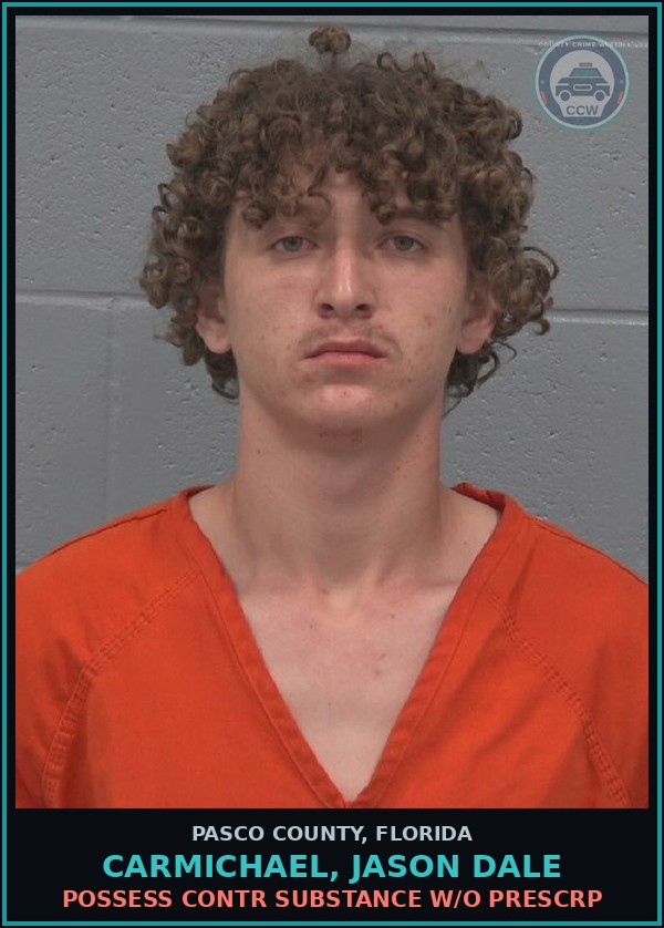 Booking mugshot of CARMICHAEL, JASON DALE in Pasco County