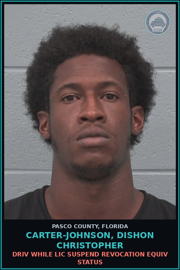 Booking mugshot of CARTER-JOHNSON, DISHON CHRISTOPHER in Pasco County