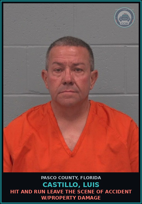 Booking mugshot of CASTILLO, LUIS in Pasco County