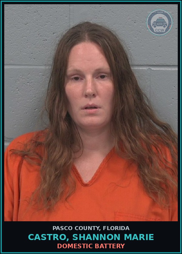 Booking mugshot of CASTRO, SHANNON MARIE in Pasco County