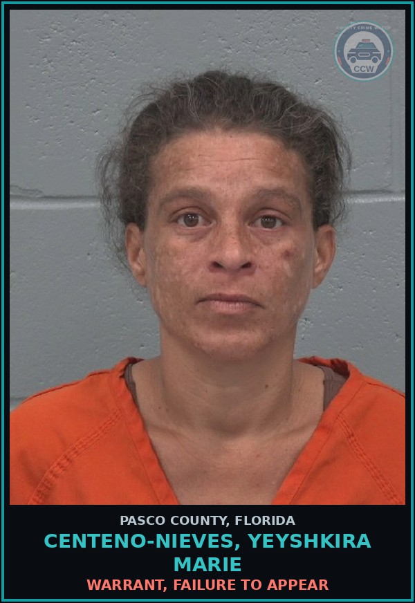 Booking mugshot of CENTENO-NIEVES, YEYSHKIRA MARIE in Pasco County