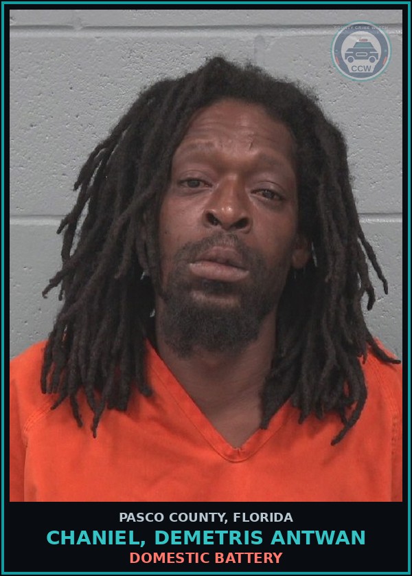 Booking mugshot of CHANIEL, DEMETRIS ANTWAN in Pasco County