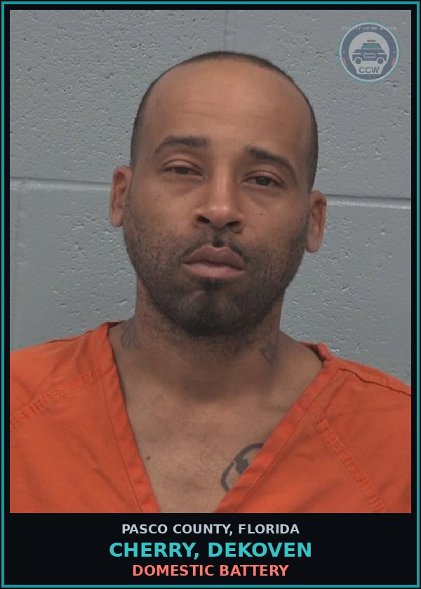 Booking mugshot of CHERRY, DEKOVEN in Pasco County