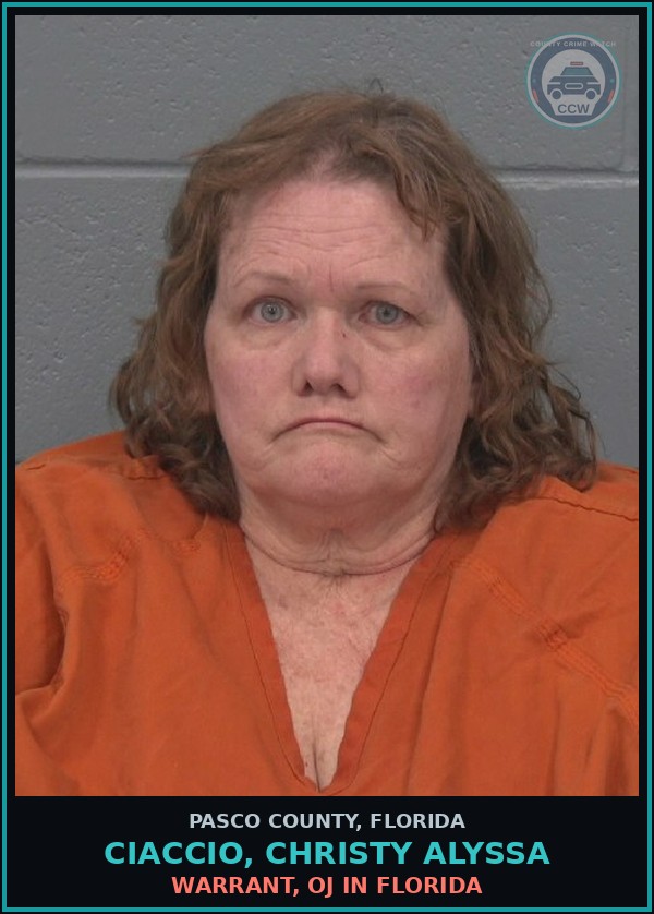 Booking mugshot of CIACCIO, CHRISTY ALYSSA in Pasco County
