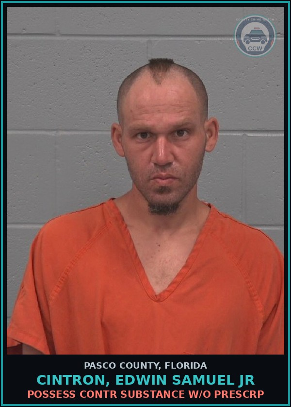 Booking mugshot of CINTRON, EDWIN SAMUEL JR in Pasco County