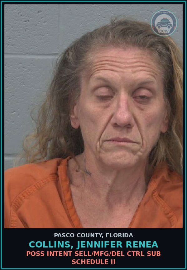 Booking mugshot of COLLINS, JENNIFER RENEA in Pasco County