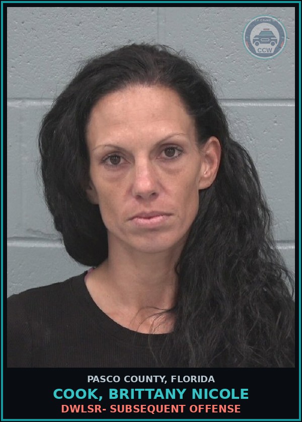 Booking mugshot of COOK, BRITTANY NICOLE in Pasco County