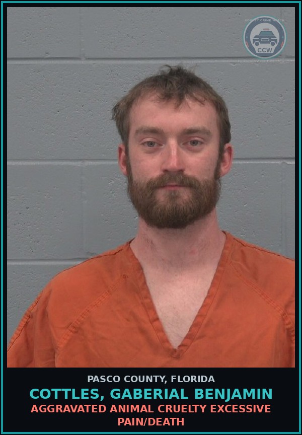 Booking mugshot of COTTLES, GABERIAL BENJAMIN in Pasco County
